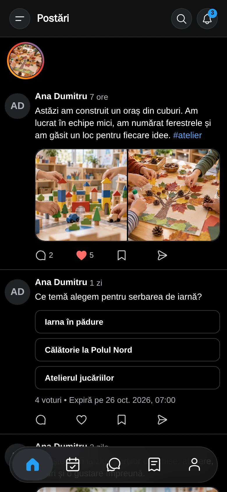 Fila Postări, cu story-urile sus și postările grupei dedesubt